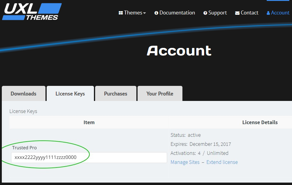 Pro theme license key