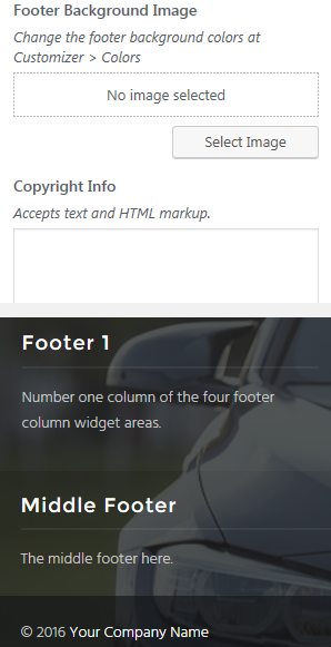 Footer Options