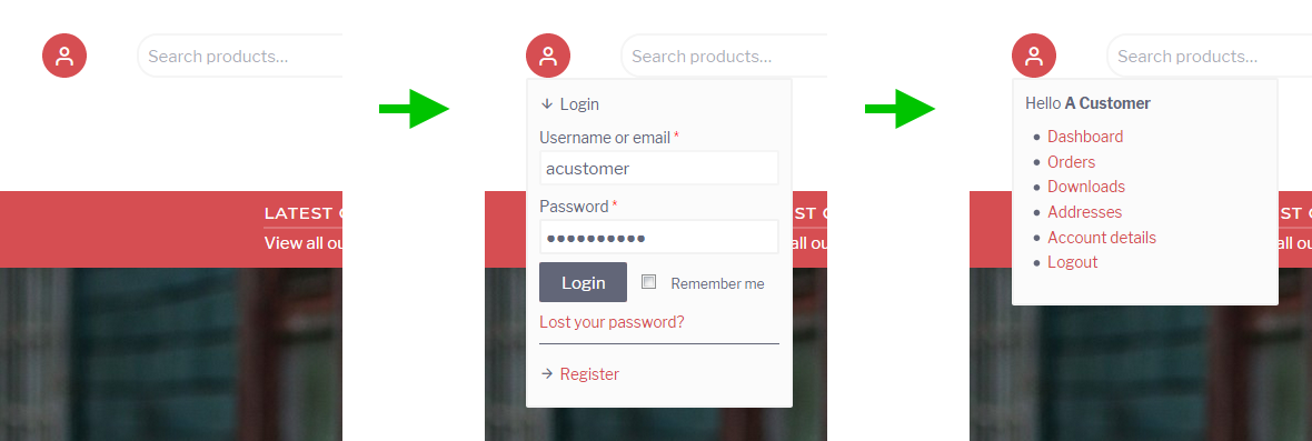 A screenshot showing the WooCommerce login/account form in the header area of the Retail WordPress theme